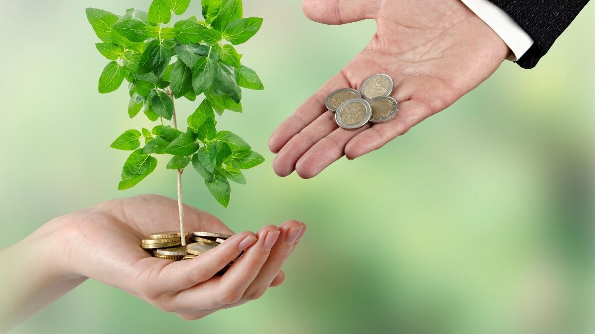pengertian bisnis hijau pengertian bisnis hijau