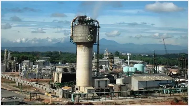 industri yang menggunakan amonia hijau