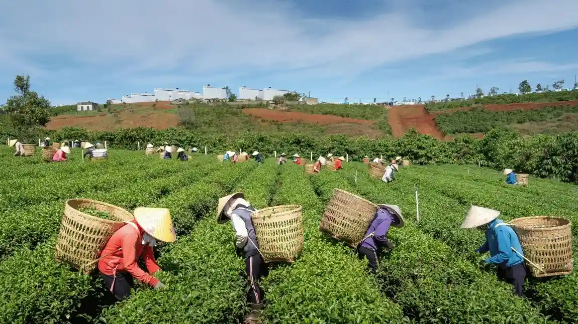 radioisotop di bidang pertanian indonesia