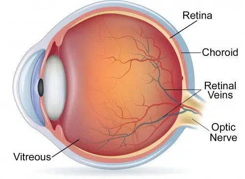 retina mata