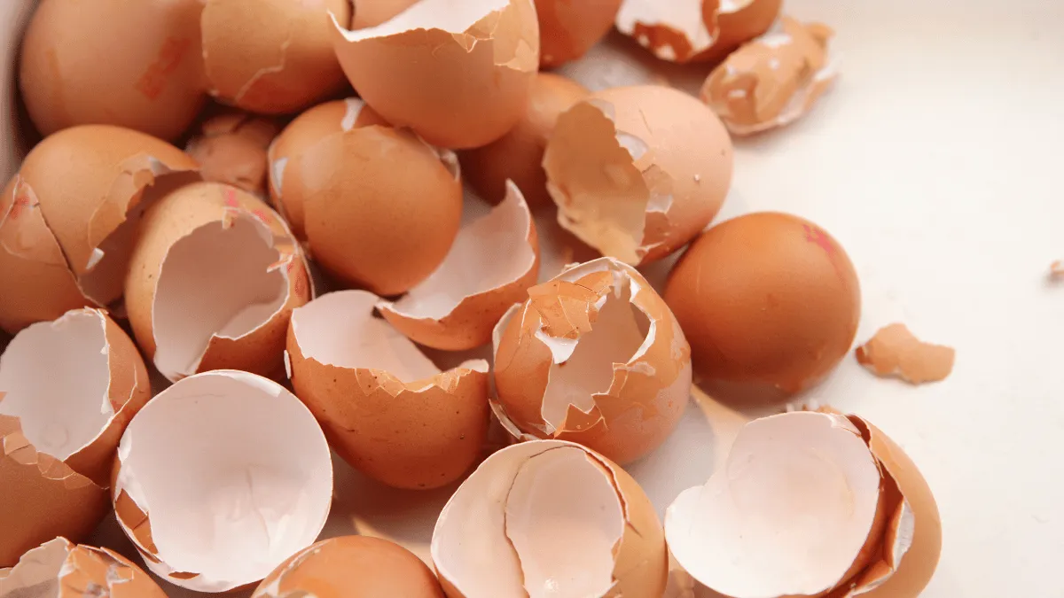 tepung cangkang telur untuk filler bioplastik tepung cangkang telur untuk filler bioplastik