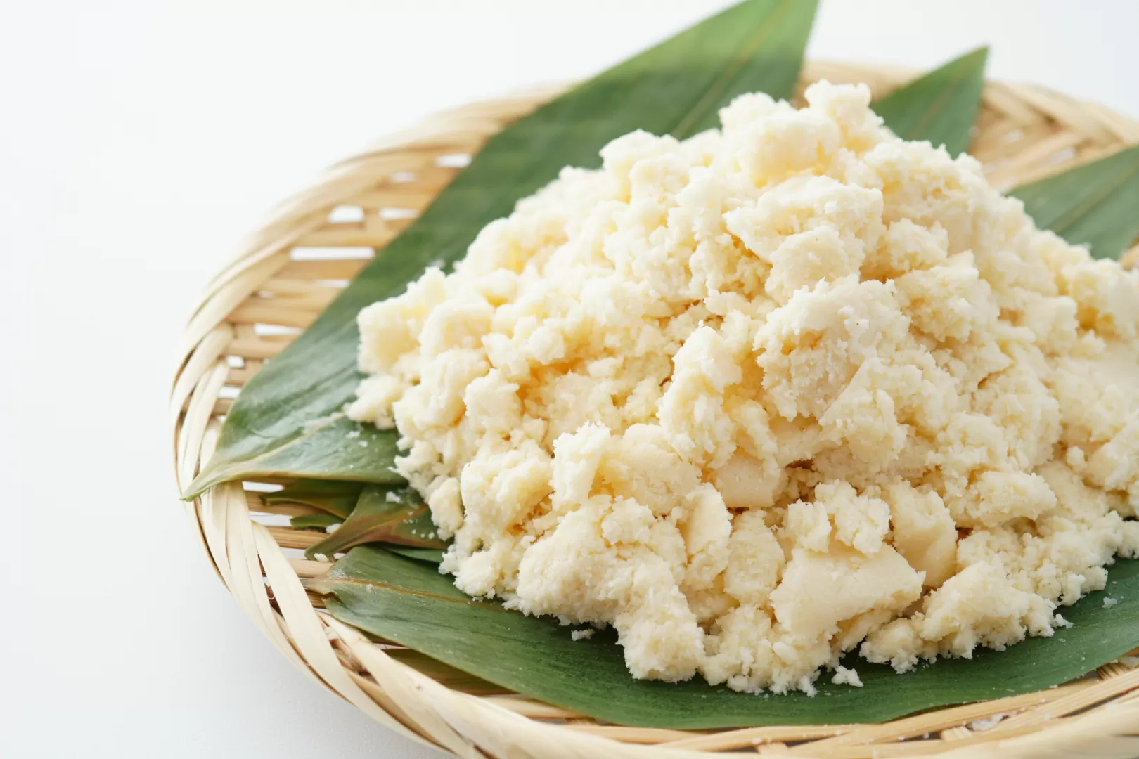 Ampas tahu untuk pakan lele