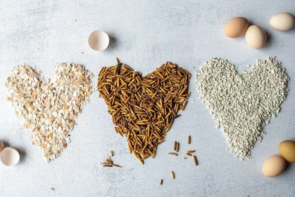 Cangkang telur ayam mengandung banyak kalsium karbonat Cangkang telur ayam mengandung kalsium karbonat