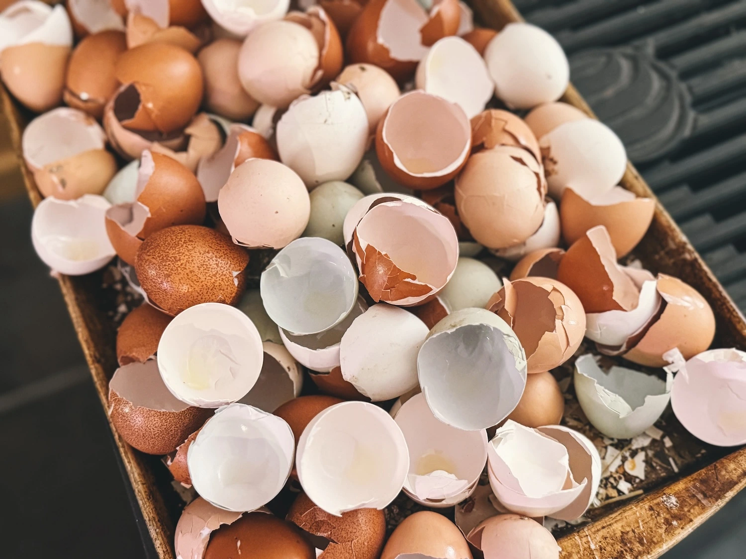 Cangkang telur memiliki kandungan kalsium karbonat yang sangat tinggi Cangkang telur memiliki kandungan kalsium karbonat