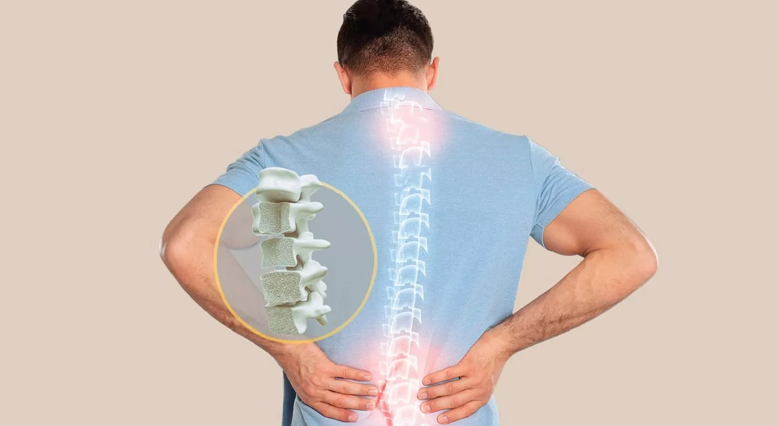 Cangkang telur untuk pertumbuhan tulang