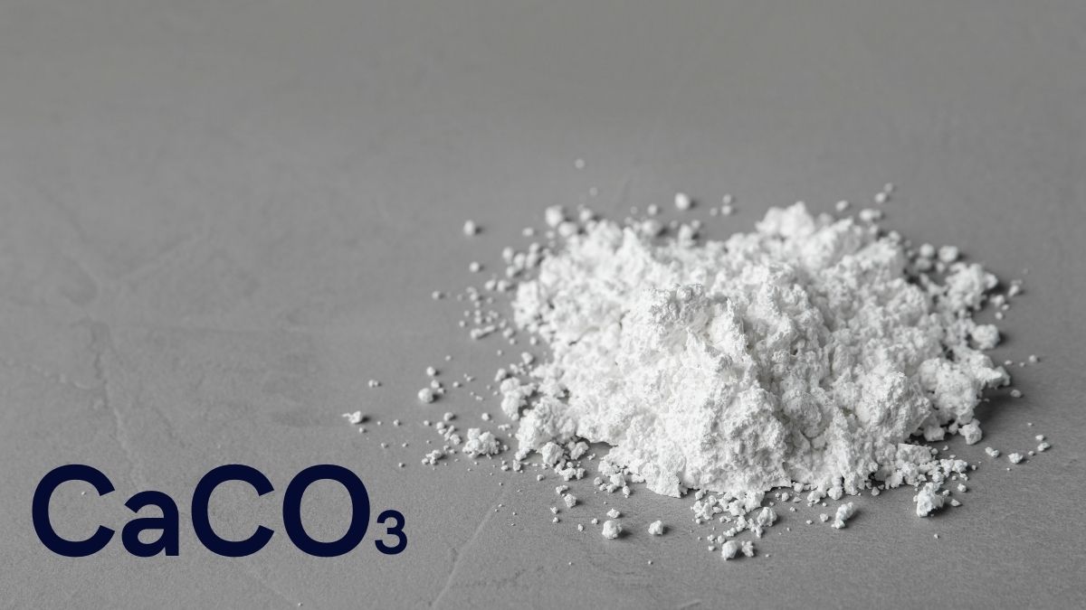 cangkang telur kaya akan nutrisi