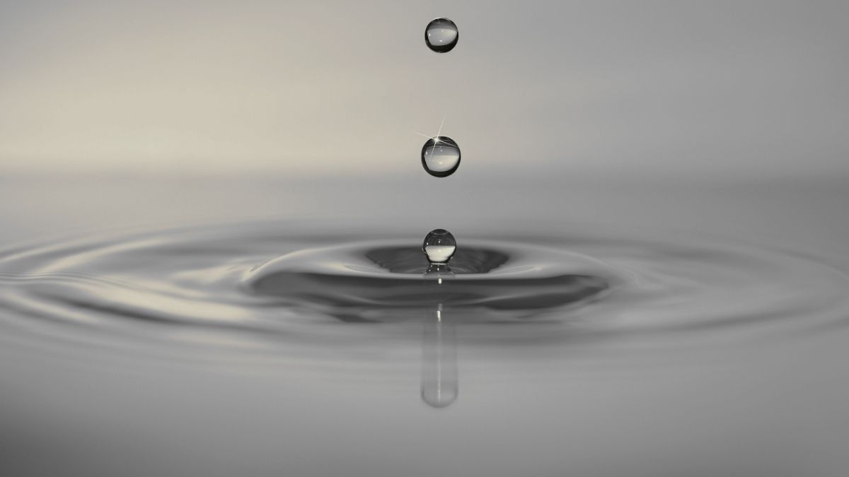 kandungan air pada cangkang telur