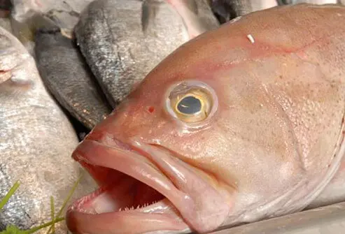 Keracunan ciguatera dari racun ciguatoxin