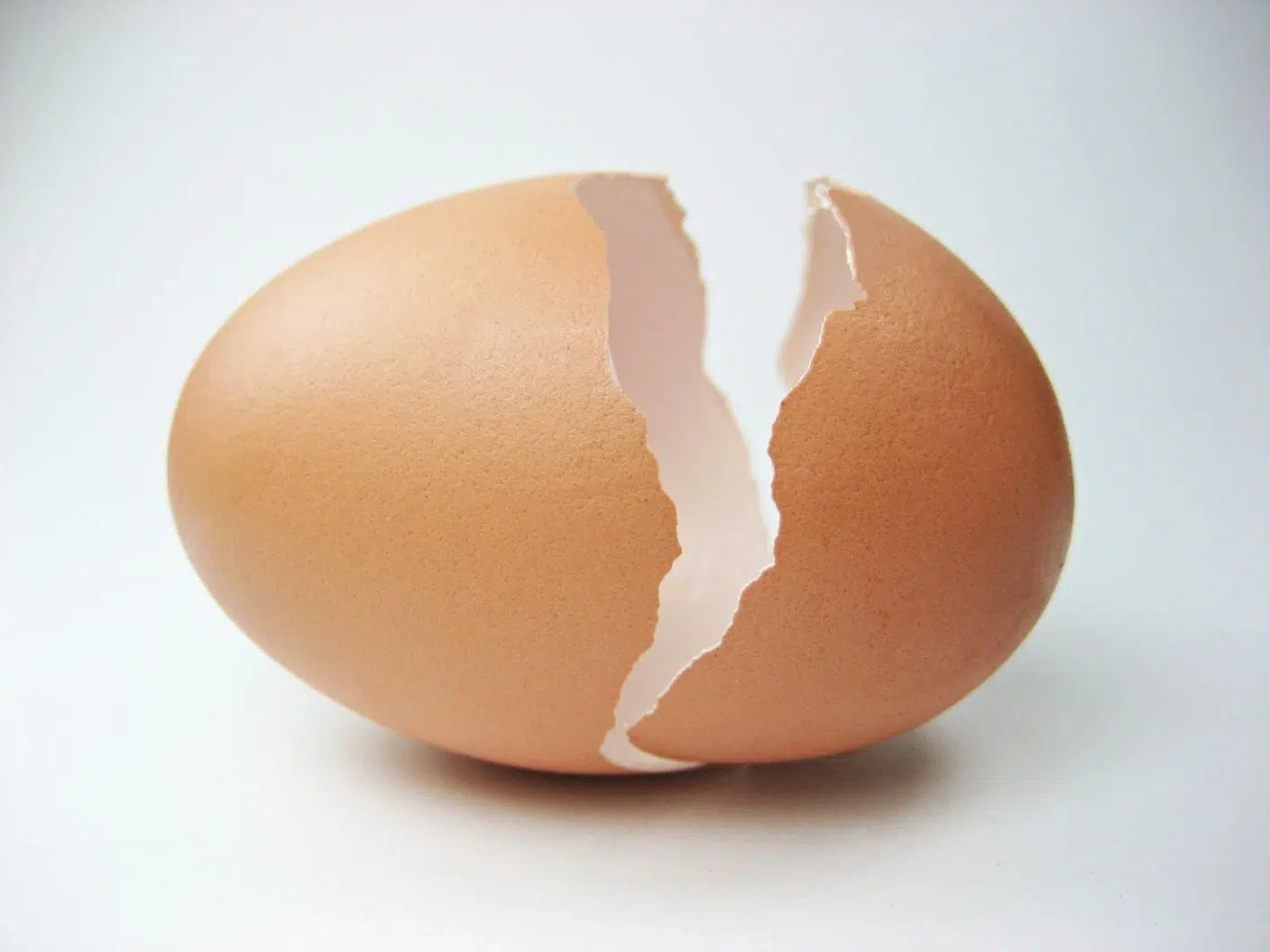 manfaat cangkang telur untuk kesehatan