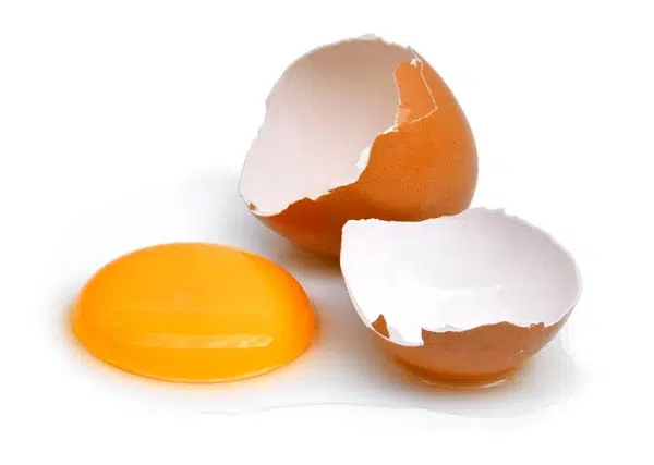 Kulit cangkang telur