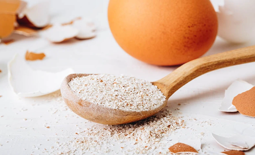 Manfaat cangkang telur untuk wajah semakin populer Manfaat cangkang telur