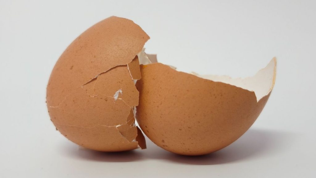 Mineral mikro cangkang telur