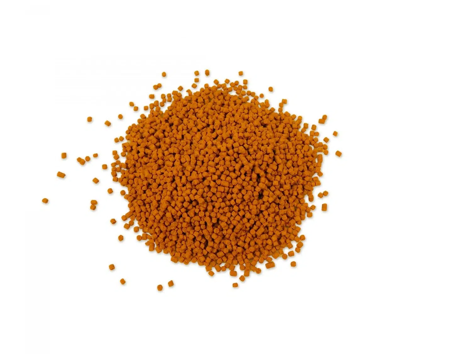 Pakan lobster air tawar