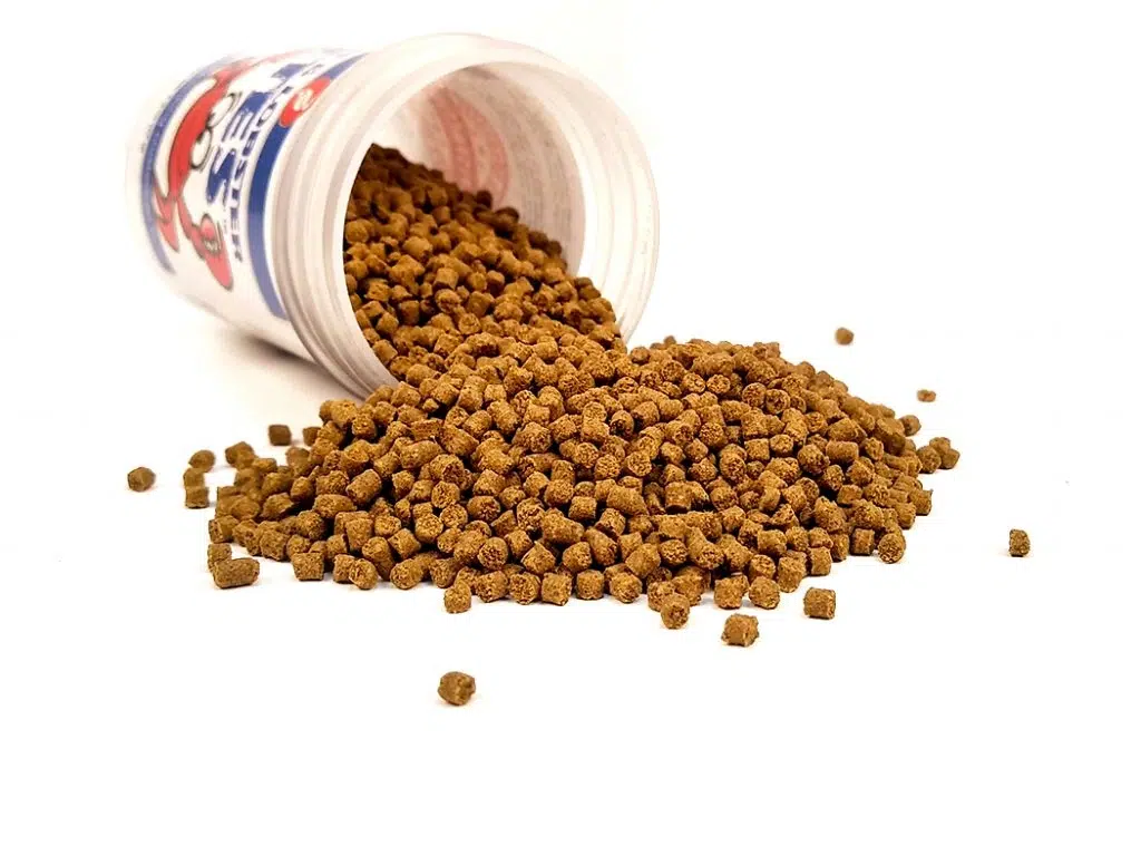 Pakan lobster air tawar buatan