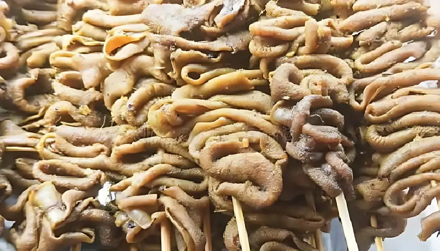Usus ayam dengan kandungan protein