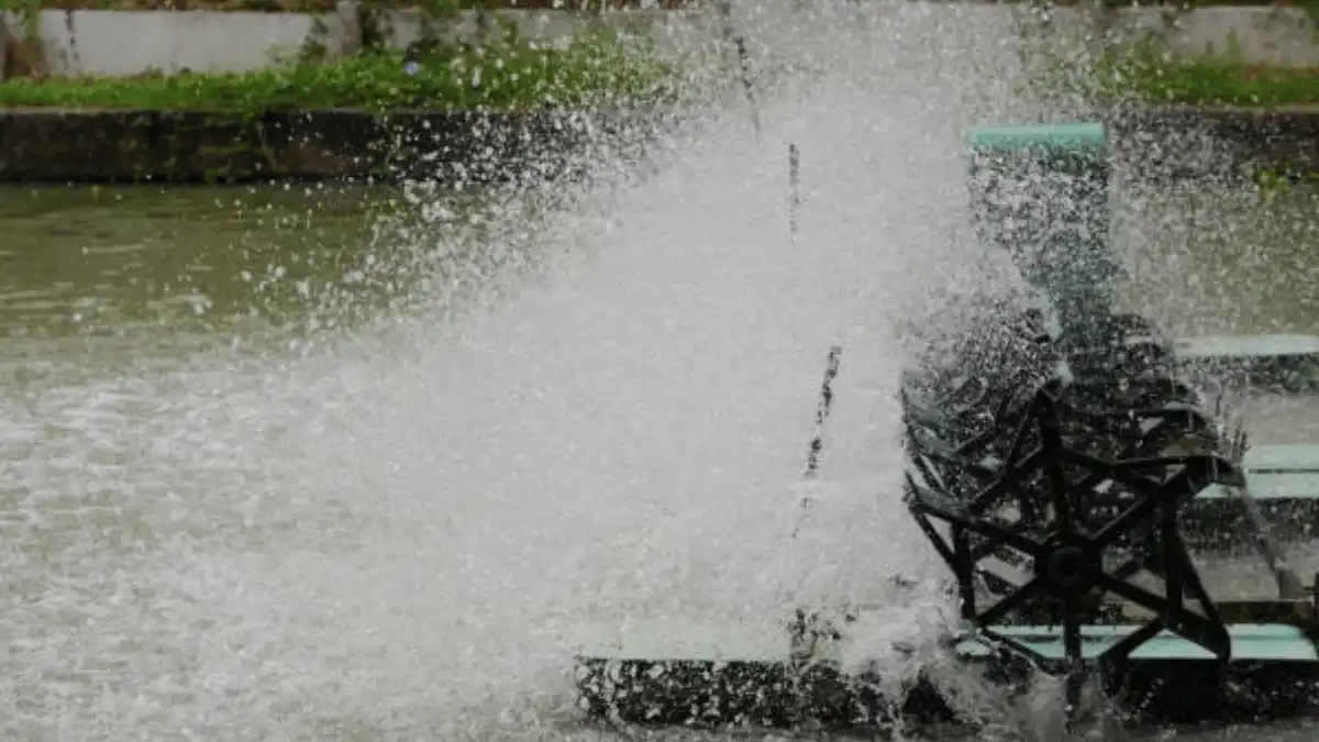 cara memilih aerator