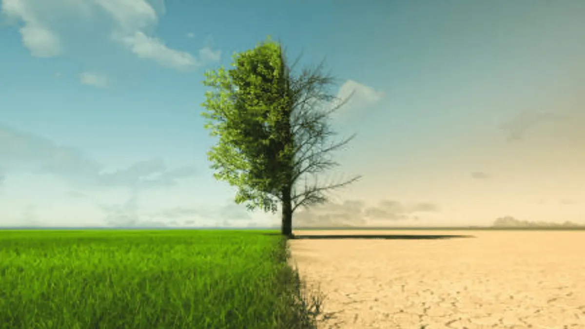 dampak global warming di indonesia