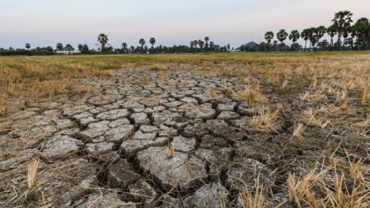 dampak global warming