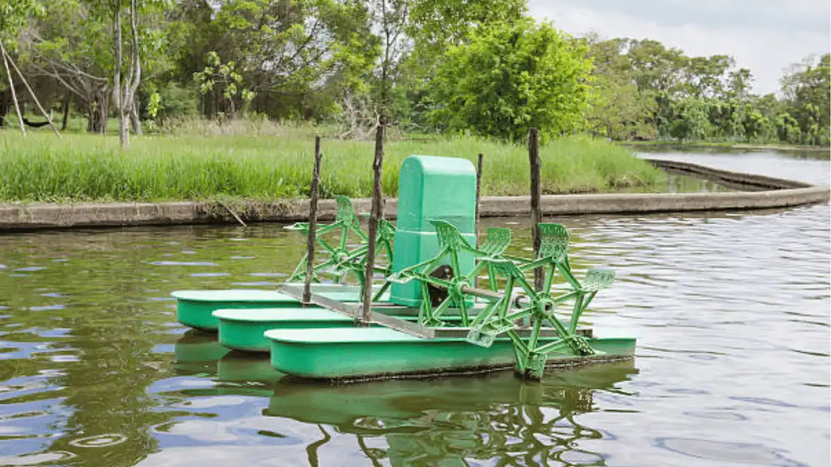 jenis aerator kolam ikan nila bioflok