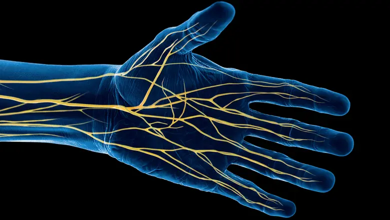 manfaat cangkang telur untuk kesehatan saraf manfaat cangkang telur untuk kesehatan saraf