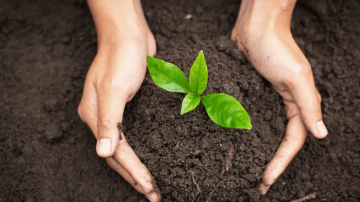 upaya pencegahan global warming