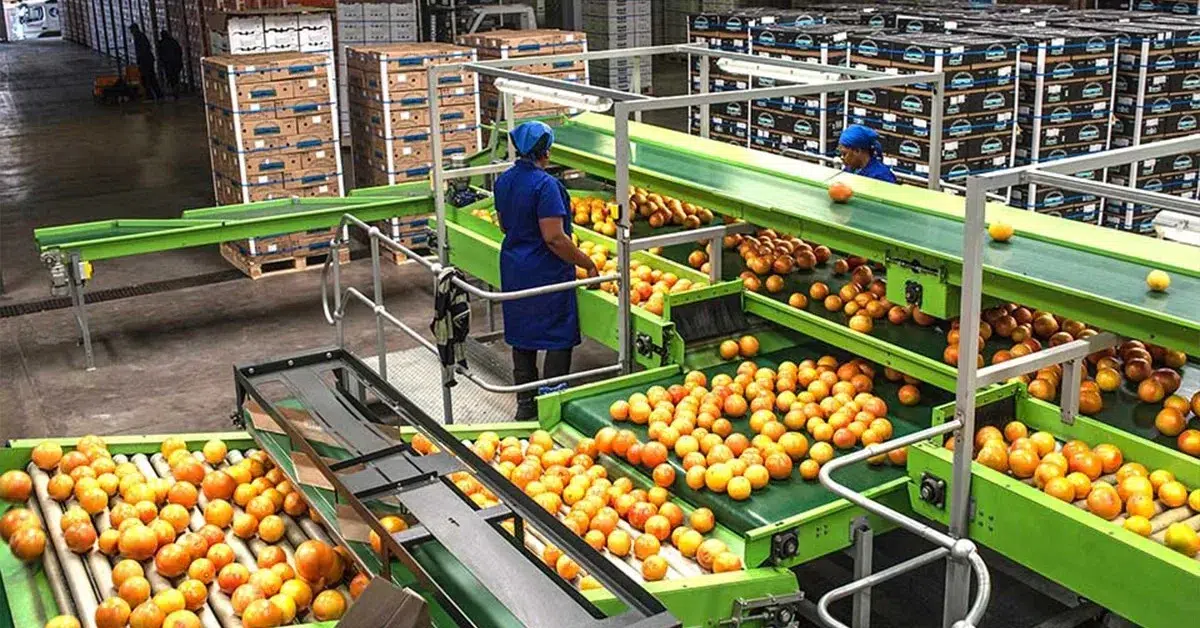 Penguatan sistem distribusi pangan