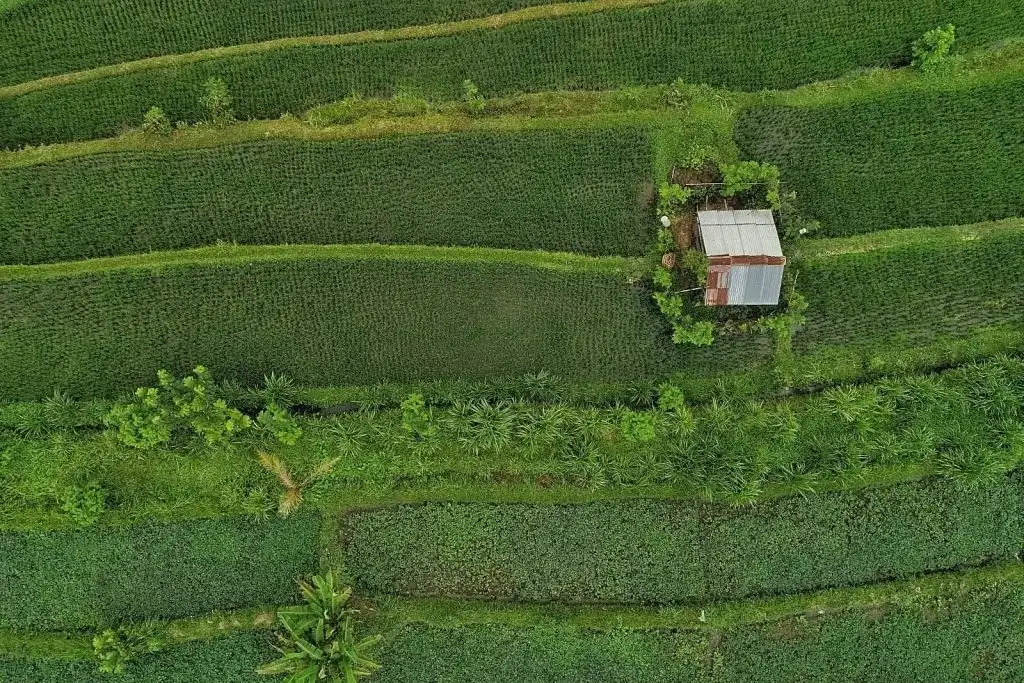 sistem ketahanan pangan