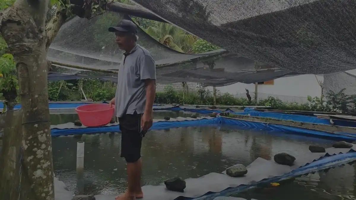 8 Perbedaan Pakan fermentasi vs Pakan Konvensional 8 Perbedaan Pakan fermentasi vs Pakan Konvensional