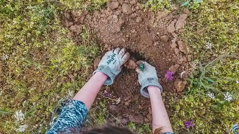 Biopori Pengelolaan Limbah Organik Idul Adha 1 11zon Biopori_ Pengelolaan Limbah Organik Idul Adha