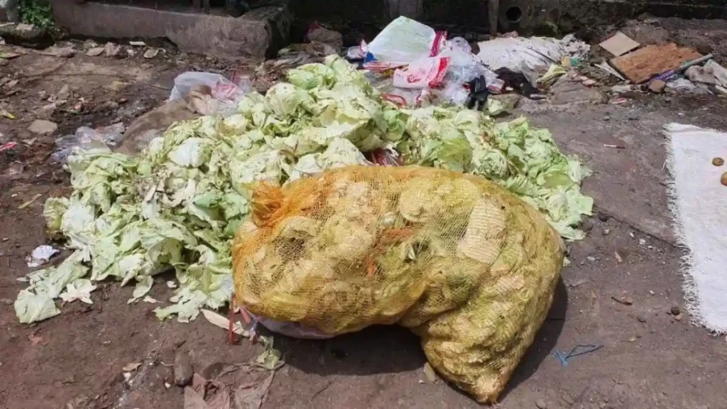 Efisiensi Pakan melalui Bahan Pakan Alternatif Limbah sayur, bahan baku Vitoma