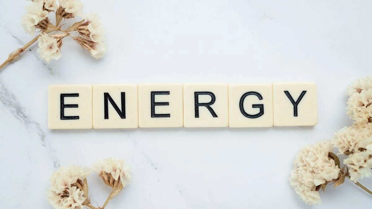 Hubungan 2 Kandungan Protein dengan Energi Sumber Pexels Homegrounds.co Hubungan 2 Kandungan_ Protein dengan Energi (Sumber - Pexels Homegrounds.co)