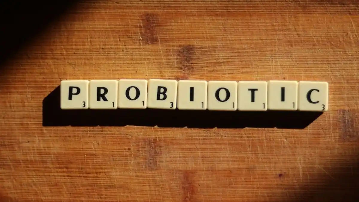 Kandungan probiotik di Vitoma Foto Pexels Alicia Harper Kandungan probiotik di Vitoma (Foto_ Pexels _ Alicia Harper)