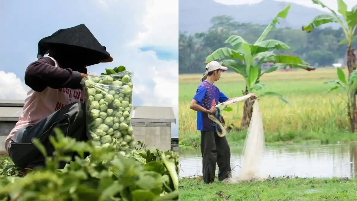 Petani dan peternak ikan yang ikut terkena dampak Foto Pexels Deden R Found GHI Petani dan peternak ikan yang ikut terkena dampak (Foto_ Pexels _ Deden R & Found GHI)