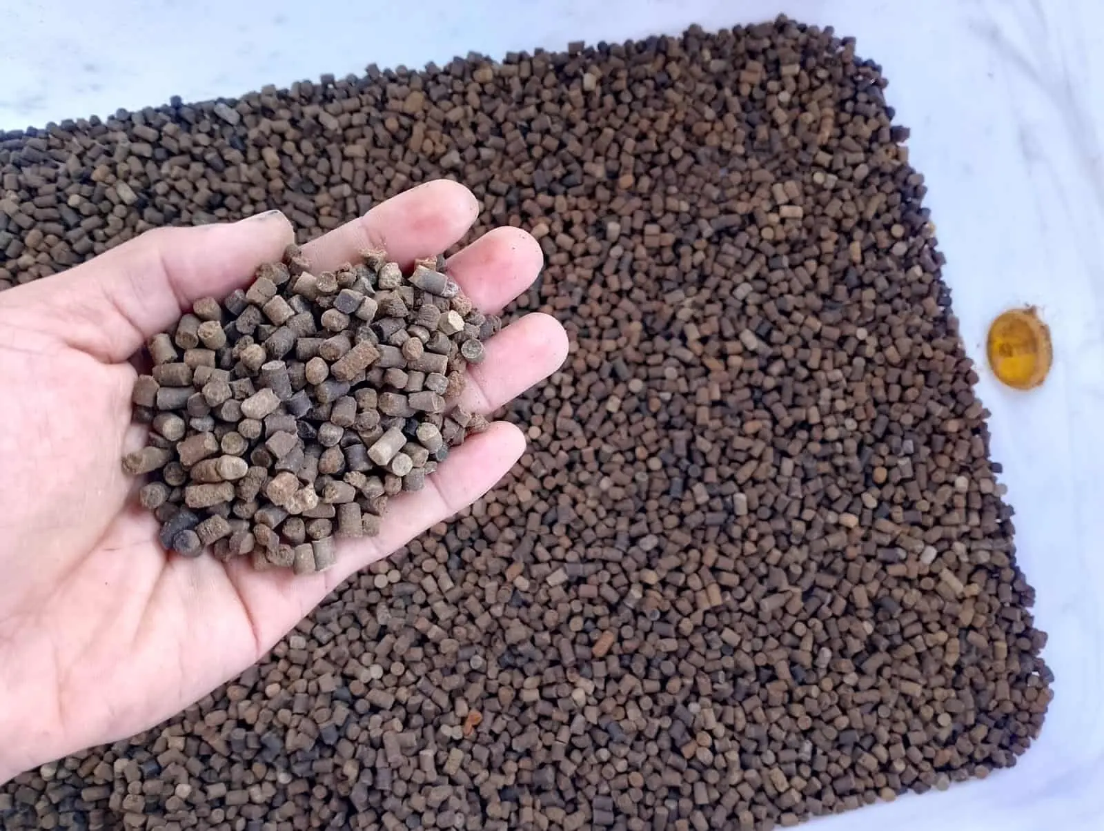 Produk pakan fermentasi Produk pakan ikan fermentasi