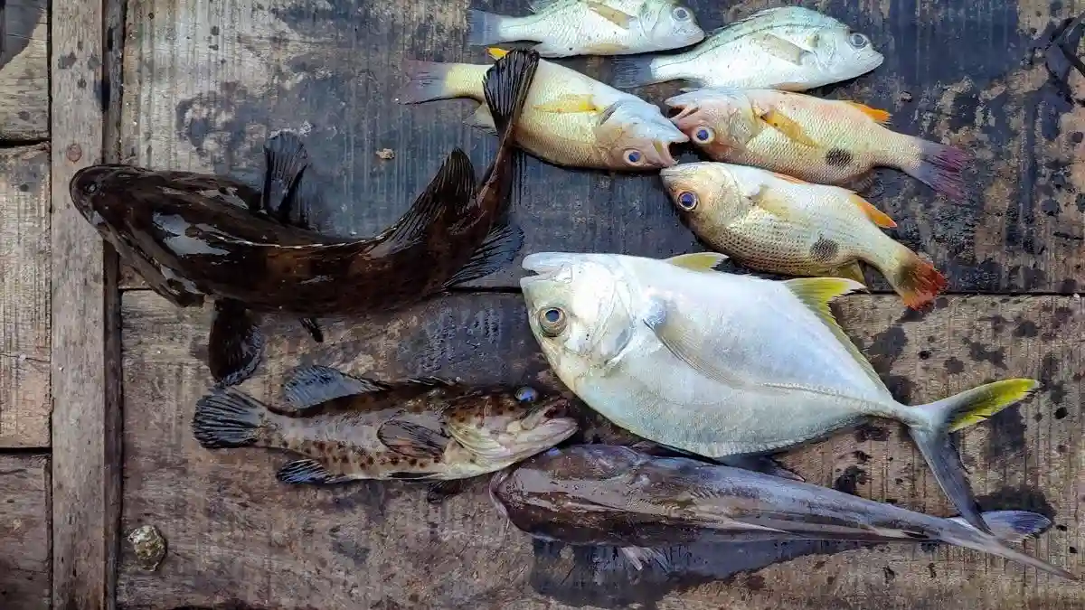 Variasi Kebutuhan Protein Berdasarkan Jenis Umur dan Lingkungan Sumber Galuh Akbar Variasi Kebutuhan Protein Berdasarkan Jenis, Umur, dan Lingkungan (Sumber - Galuh Akbar)