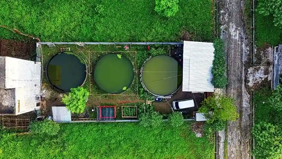 Vitoma Mendukung Sistem Bioflok Foto Pexels Tom Fisk Vitoma Mendukung Sistem Bioflok (Foto_ Pexels _ Tom Fisk)