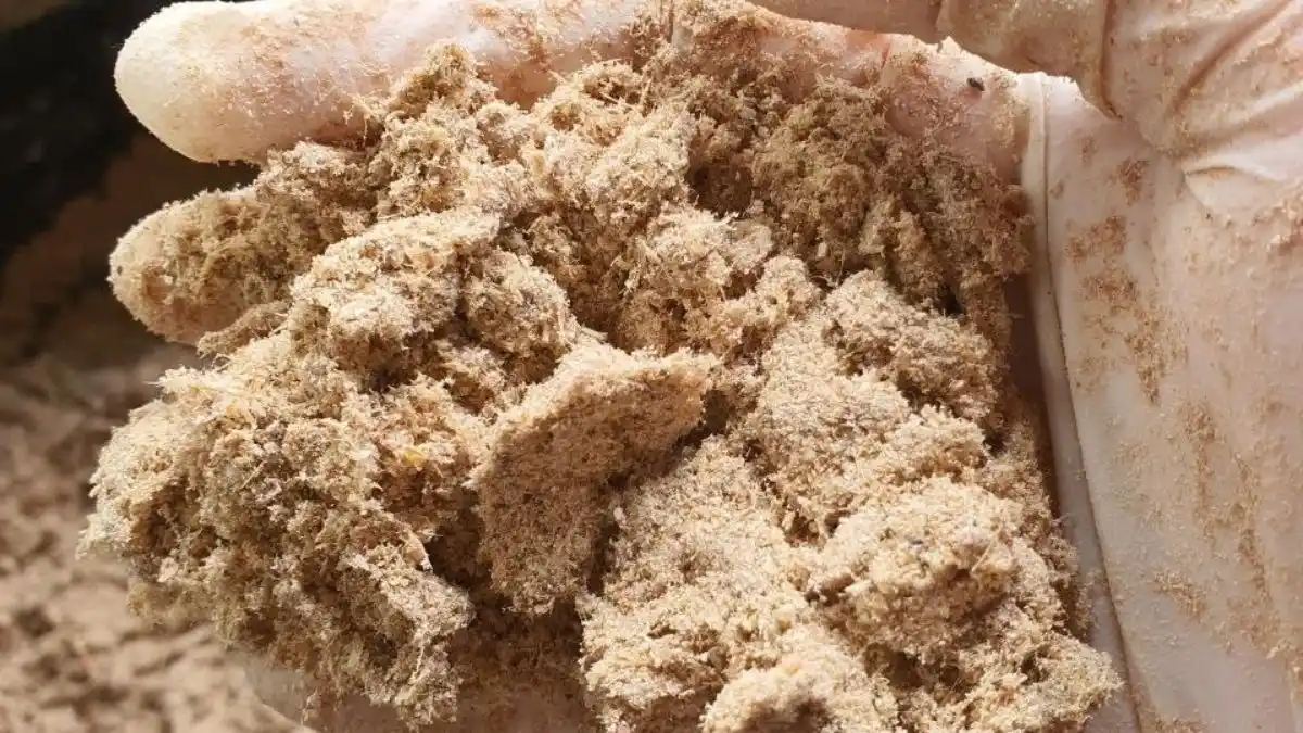 Vitoma diprosesn dengan fermentasi Foto ANGPHOT Vitoma diprosesn dengan fermentasi (Foto_ ANGPHOT)