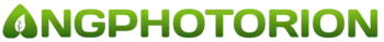 Logo PT Angphot Orion Indonesia