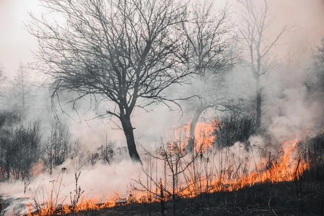 kebakaran lahan kebakaran lahan