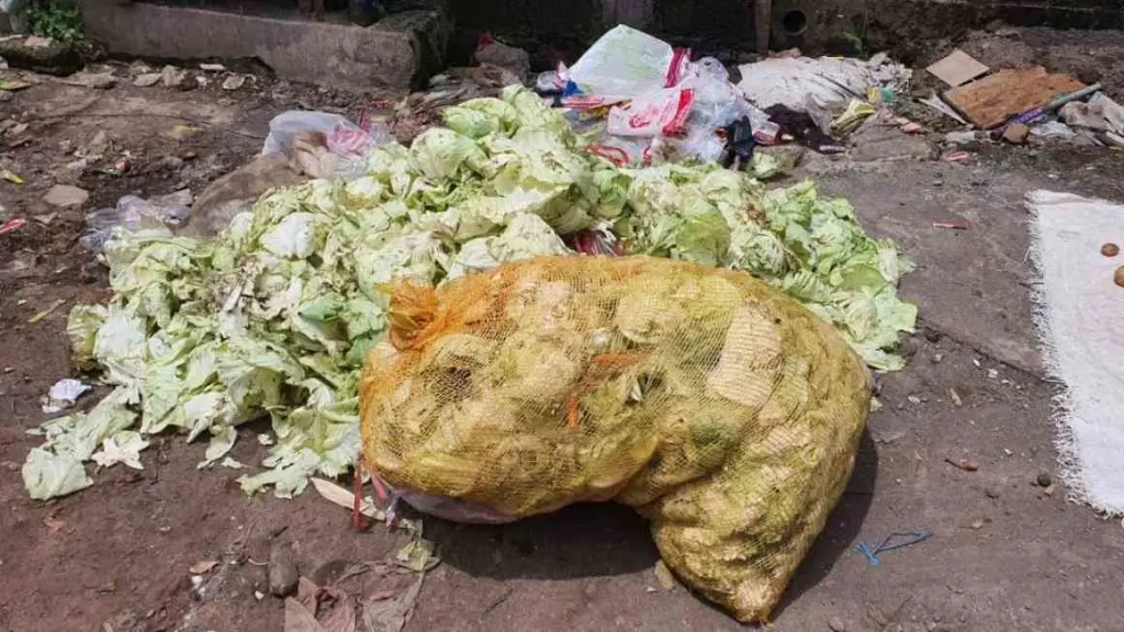 mengurangi sampah organik bersama ANGPHOT
