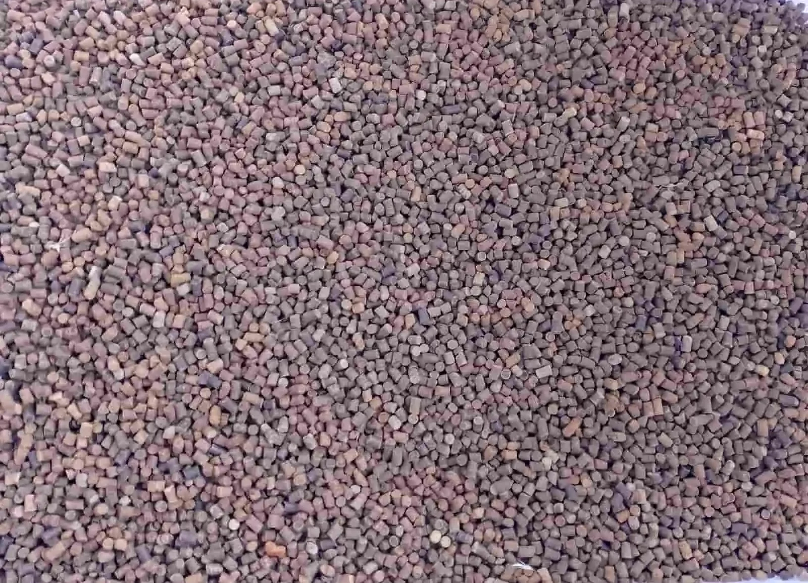 pakan ikan fermentasi e1781264180476 Pakan ikan fermentasi