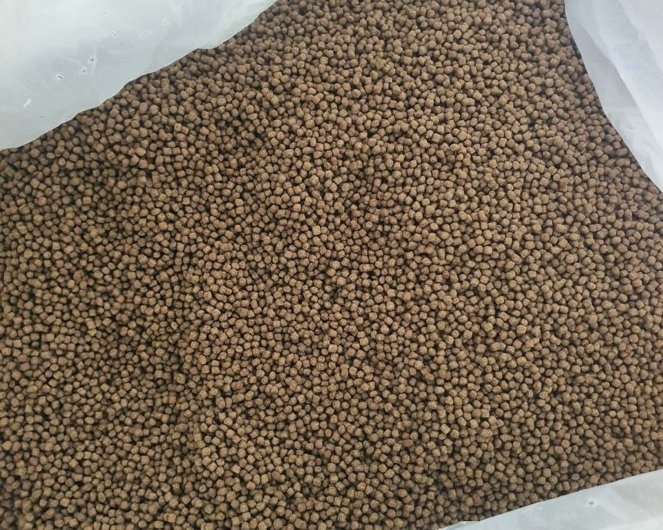 pakan ikan tinggi protein vitoma