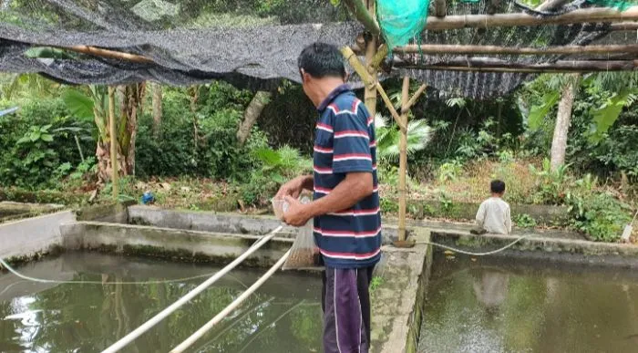 pembudidaya ikan