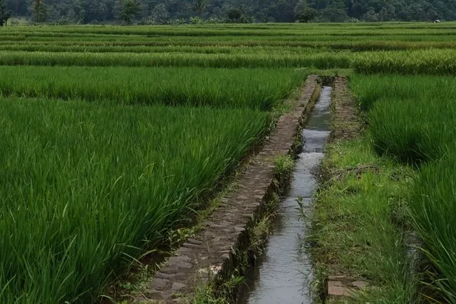 saluran saluran pelepasan air