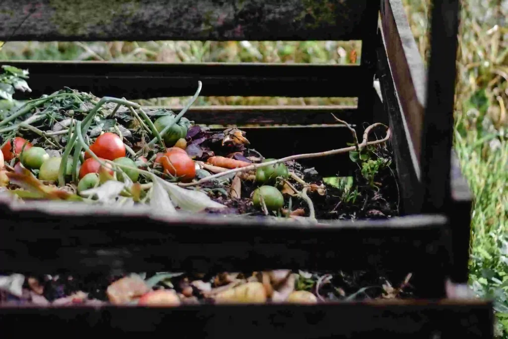 tumpukan sampah organik penghasil gas metana tumpukan sampah organik penghasil gas metana