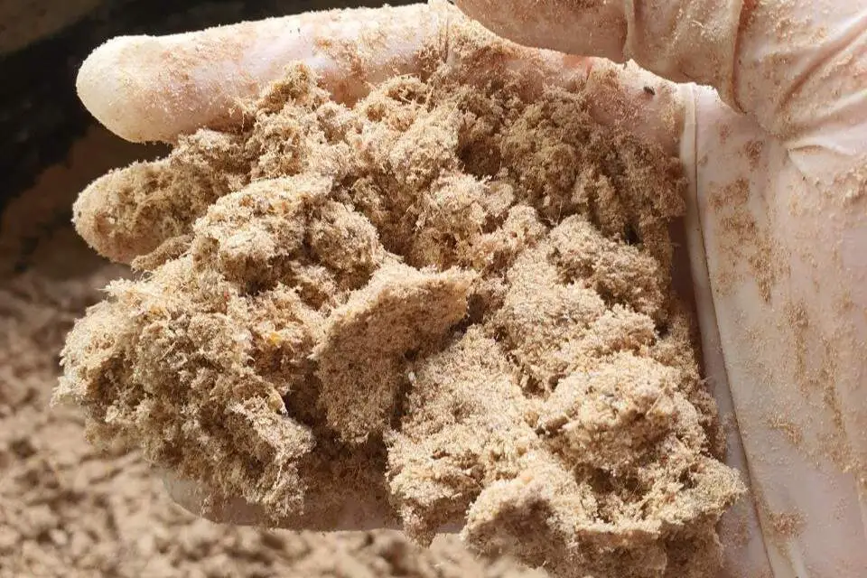 jual meat bone meal Kandungan fish silage