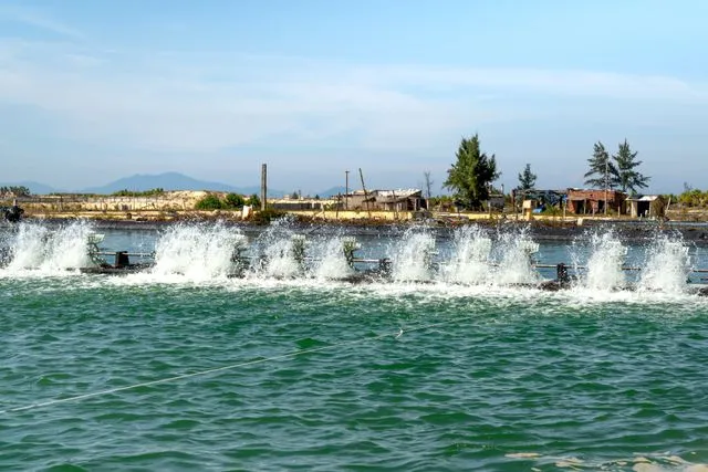 sistem saluran air pada kolam budi daya ikan sistem saluran air pada kolam budi daya ikan